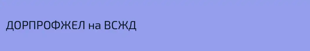 ДОРПРОФЖЕЛ на ВСЖД